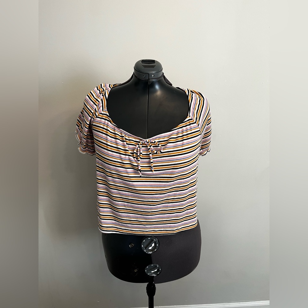 Wild Fable Crop Top